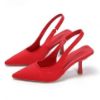 Picture of Pointed Toe Heeled Pumps women
