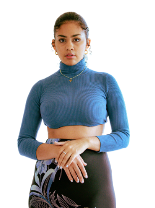 Picture of Blue Turtleneck Ribbed Top
