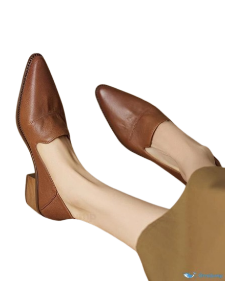 Picture of OrcaJump Vintage-Inspired Pointed Toe Chunky Heel Shoes – Brown